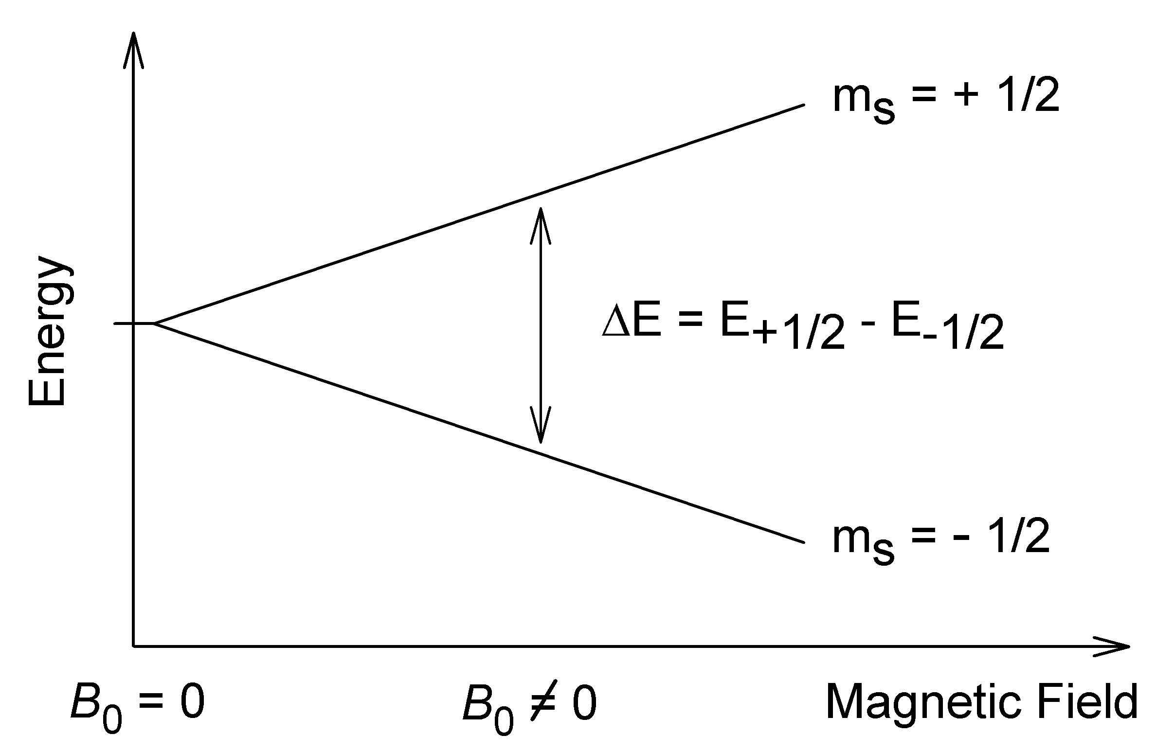 Схема расщепления энергетического уровня ядра в магнитном поле