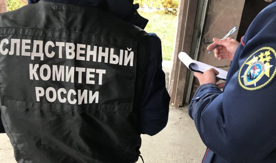 В СК РФ организовали спецотдел по борьбе с преступностью, связанной с COVID-19