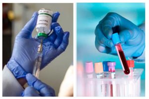 Лабиринт антител: Как разобраться с анализами до и после вакцинации