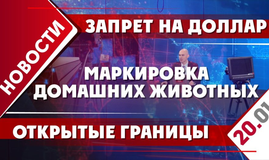 Запрет на доллар, открытые границы и маркировка домашних животных