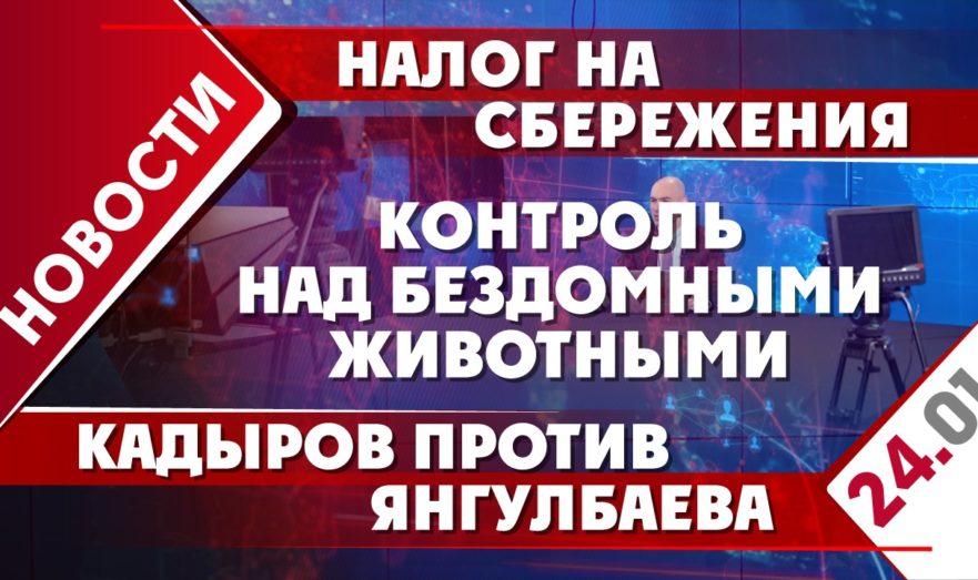 Налог на сбережения, контроль над бездомными животными и Кадыпрв против Янгулбаева