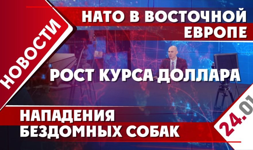 НАТО в Восточной Европе, рост курса доллара и нападения бездомных собак