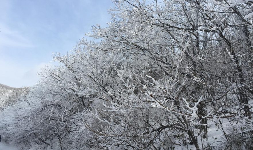 За день во Владивостоке выпало больше месячной нормы снега