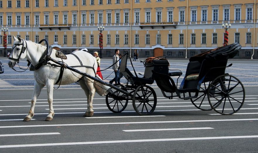 В Петербурге суд запретил виновнику инцидента с каретой приближаться к лошадям
