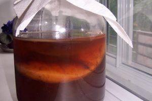 The Mirror: Чайный гриб позволяет бороться с раком и диабетом