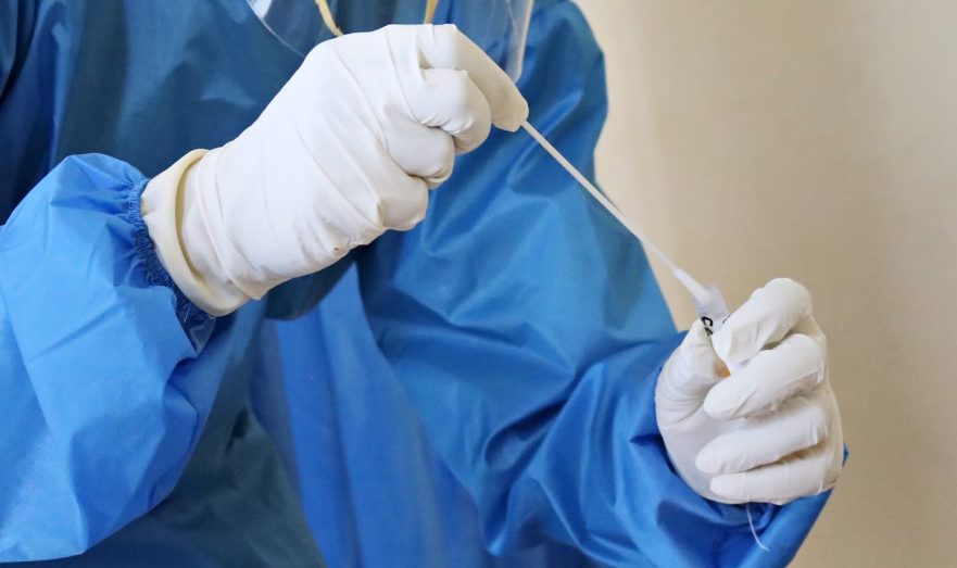 Эпидемиолог ВОЗ Пибоди: Мир должен готовиться к новой пандемии из-за птичьего гриппа