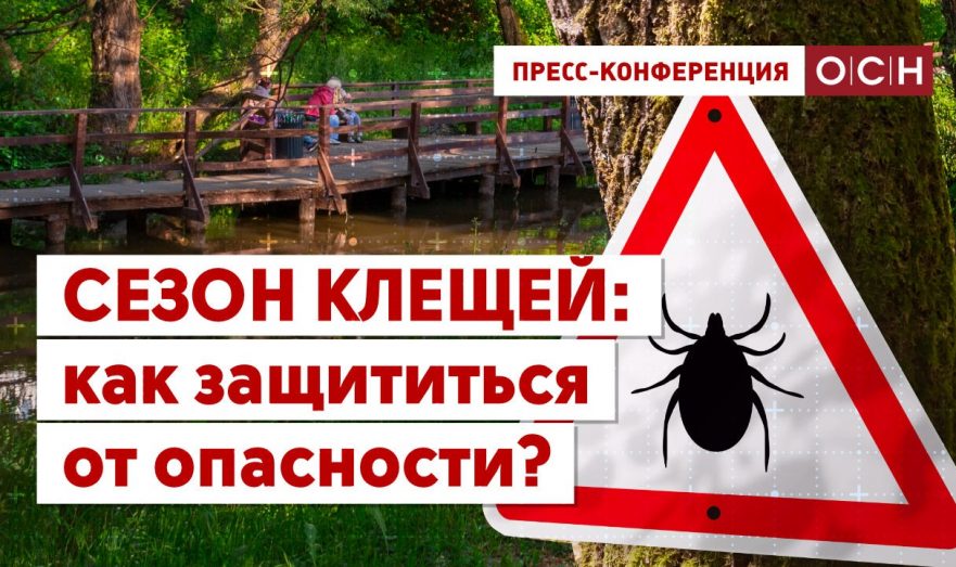 Сезон клещей: как защититься от опасности?