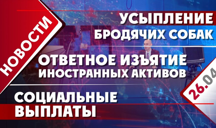 Ответное изъятие иностранных активов, усыпление бродячих собак и социальные выплаты