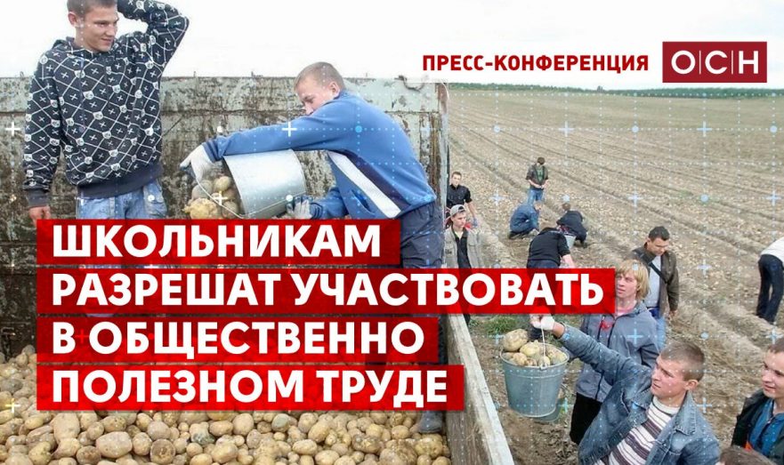 Школьникам разрешат участвовать в общественно полезном труде