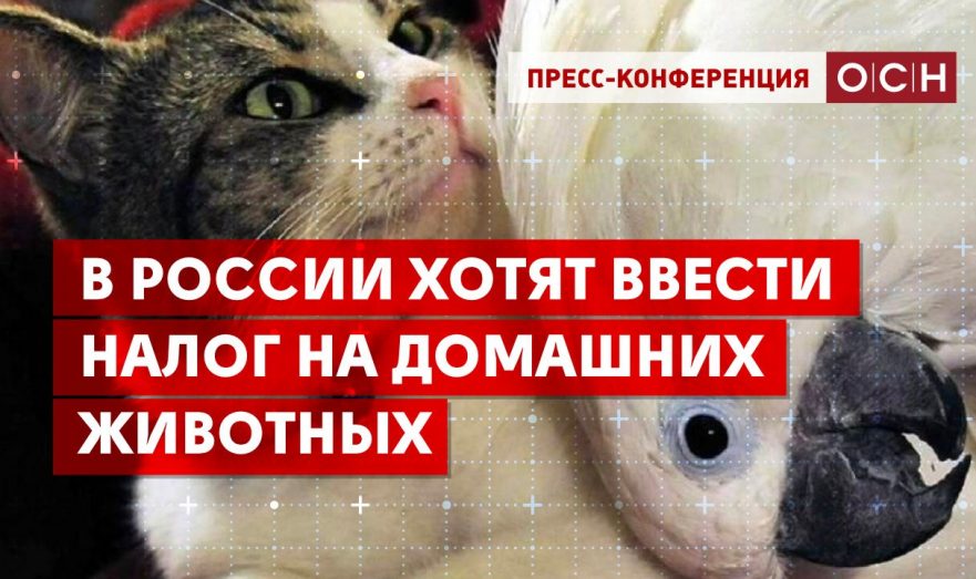 В России хотят ввести налог на домашних животных