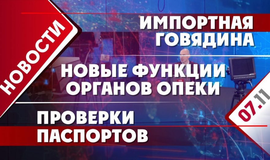 Новые функции органов опеки, импортная говядина и проверки паспортов