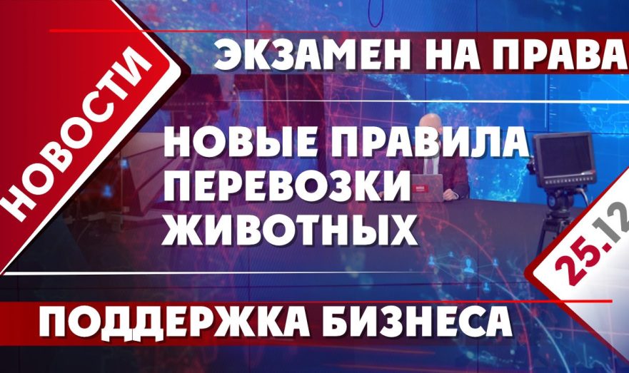 Поддержка бизнеса, экзамен на права и новые правила перевозки животных