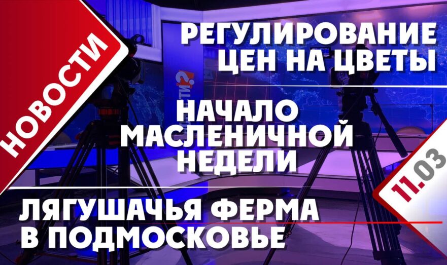 Начало Масленичной недели, регулирование цен на цветы и лягушачья ферма в Подмосковье