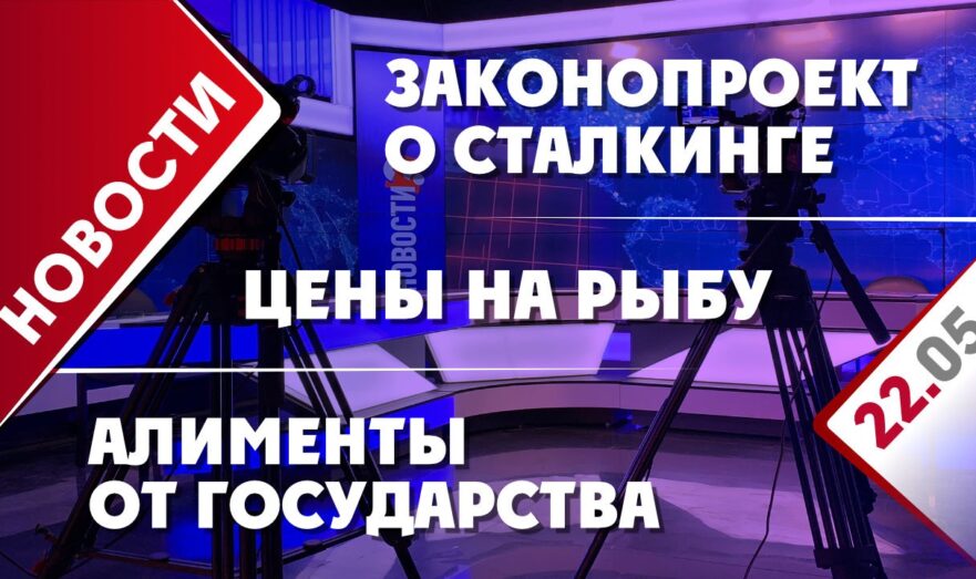Цены на рыбу, законопроект о сталкинге и алименты от государства
