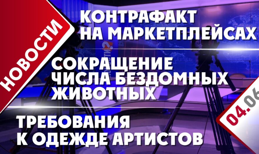 Сокращение числа бездомных животных, требования к одежде артистов и контрафакт на маркетплейсах