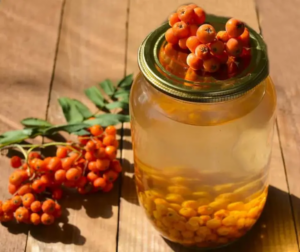 В чем польза и вред рябины для здоровья человека