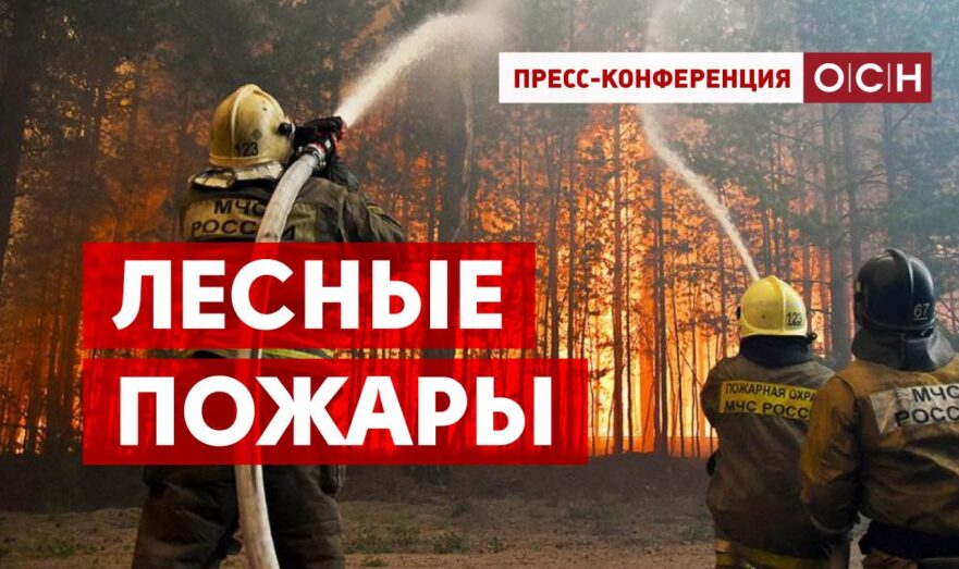 Лесные пожары