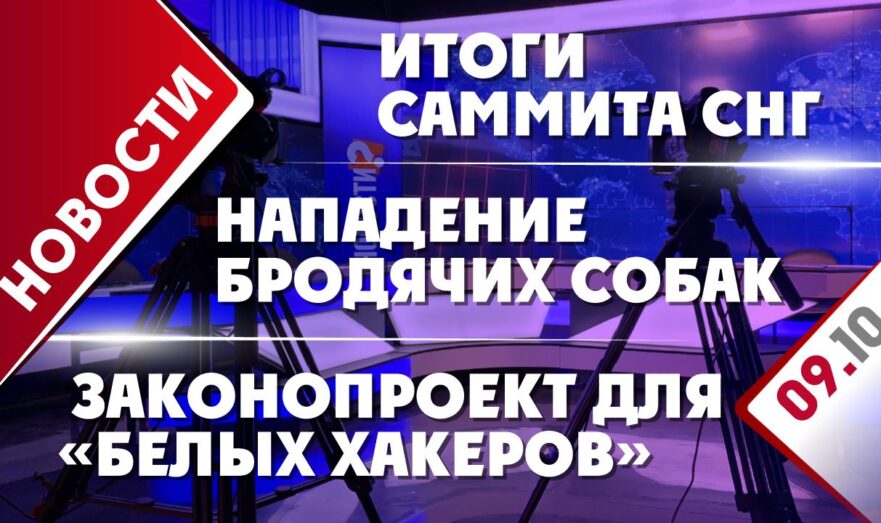 Итоги саммита СНГ, нападение бродячих собак и законопроект для «белых хакеров»