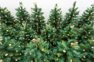 Какую ёлку ставить на Новый 2025 год Змеи: Живую или искусственную