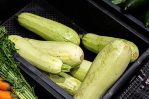 В чем польза и вред кабачков для организма человека