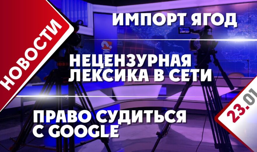 Право судиться с Google, импорт ягод и нецензурная лексика в сети
