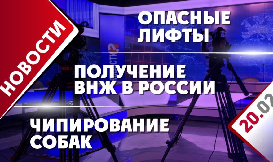 Опасные лифты, получение ВНЖ в России и чипирование собак