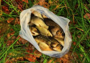 Православные верующие отметят праздник святых мучеников Фоки и пророка Ионы 5 октября 2025 года