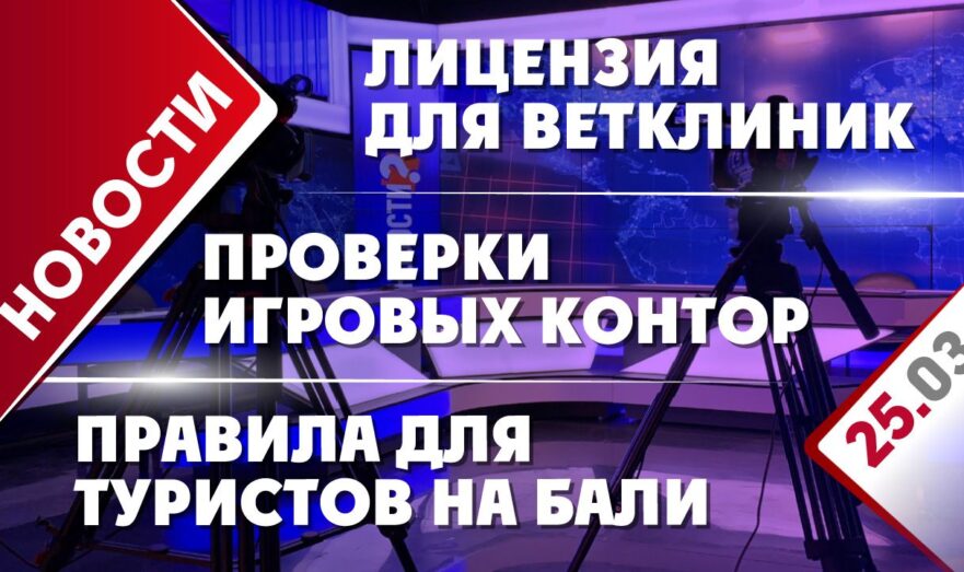 Проверки игровых контор, лицензия для ветклиник и правила для туристов на Бали