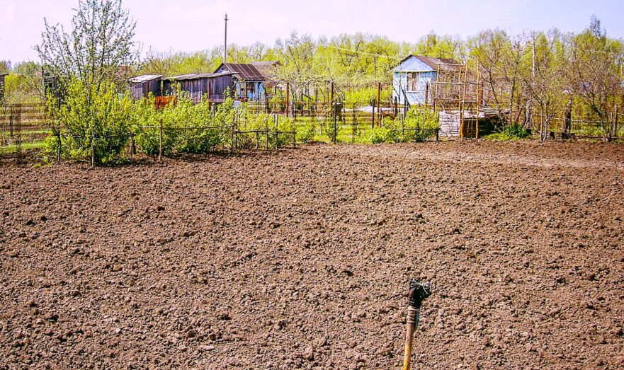 Инструкция: как правильно окучивать картошку в июле