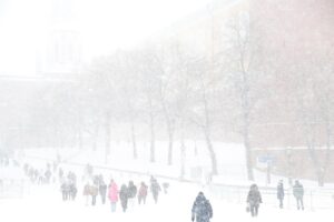 Синоптик Вильфанд: 55-60% территории России сейчас укрыто снегом