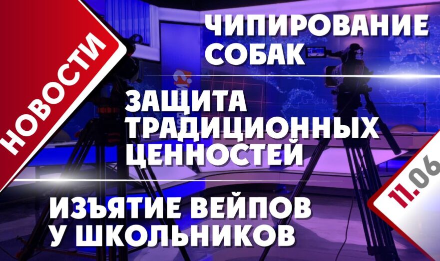 Изъятие вейпов у школьников, чипирование собак и защита традиционных ценностей