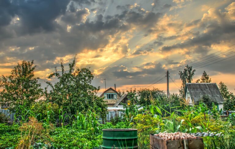 Терапевт Еременко объяснил, что должно быть в аптечке во время поездки на дачу