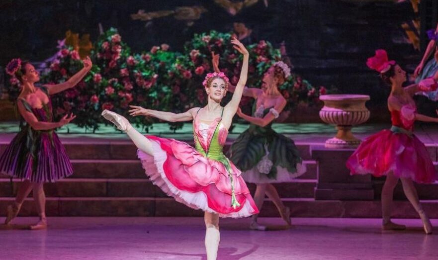 Четыре билета на «Щелкунчика» продали на аукционе за полмиллиона рублей
