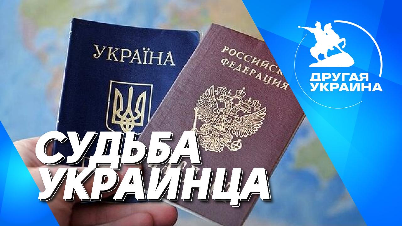 Изображение трансляции