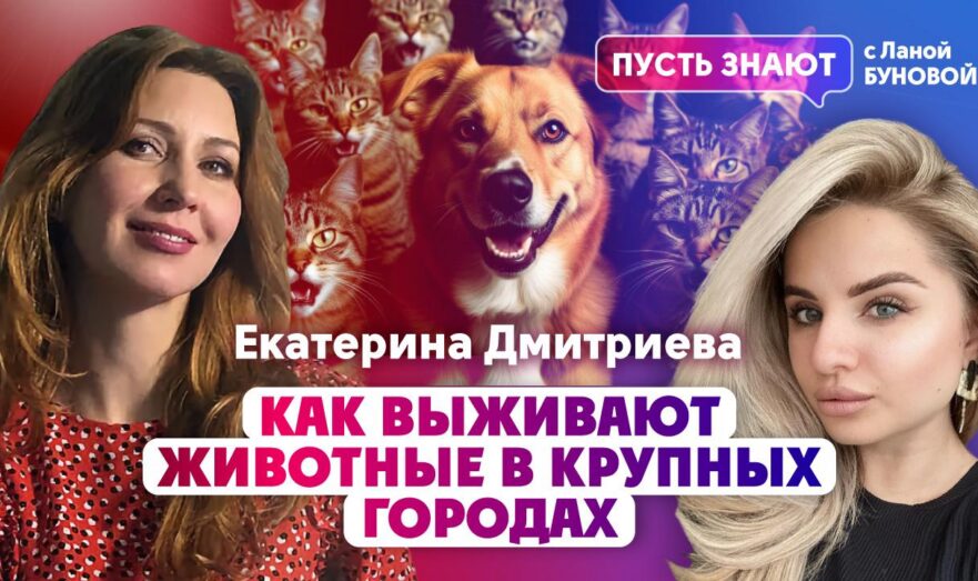 Как выживают животные в крупных городах