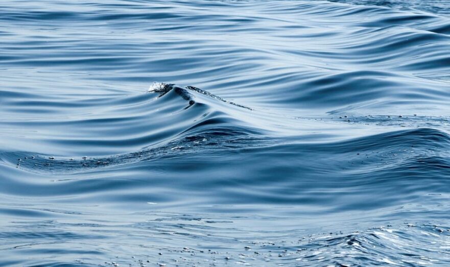 АТОР: Россияне выберут для летнего отпуска Турцию и Египет